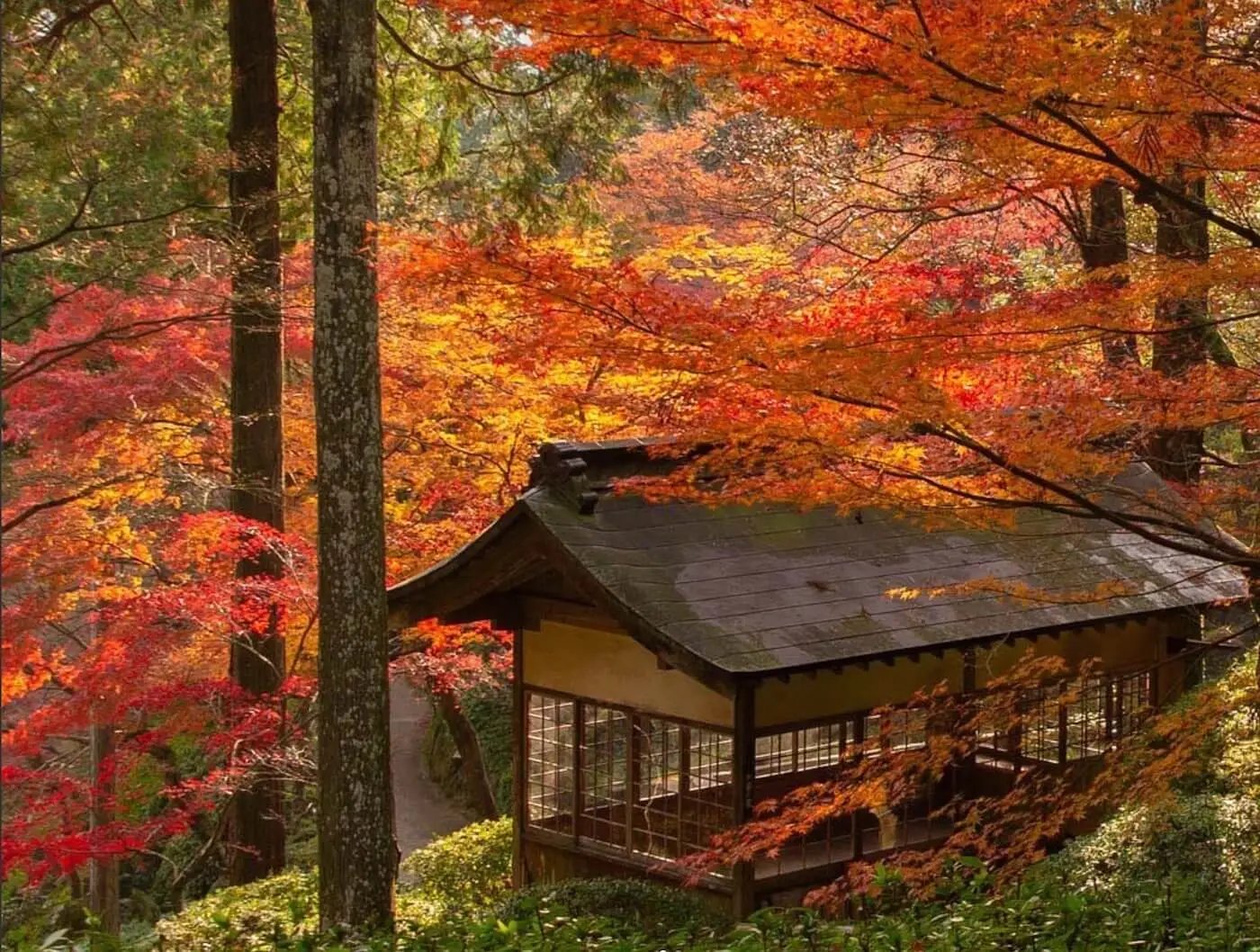🌳 마이오카 공원 (舞岡公園) 이미지 6